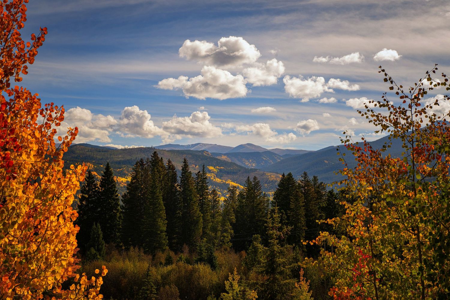 Colorado trees with vibrant orange foliage frame a scenic mountain landscape under a dramatic cloudy sky.