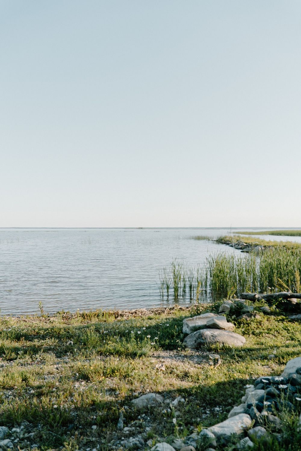 Tranquil coastal landscape with rocky shoreline, marsh grasses, and calm waters stretching to the horizon.