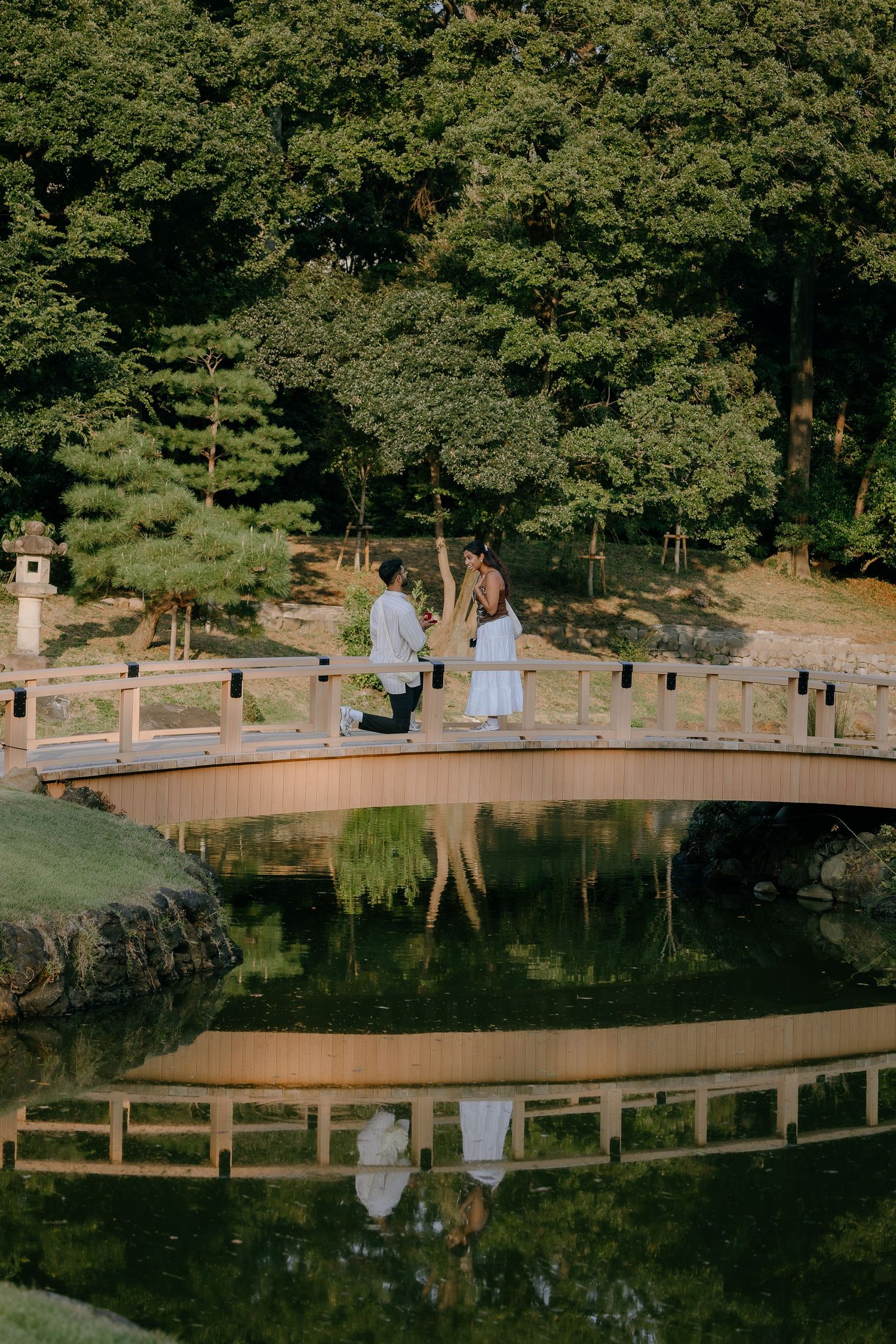 A curved wooden bridge over a calm pond reflects perfectly in the still water surrounded by lush green trees.