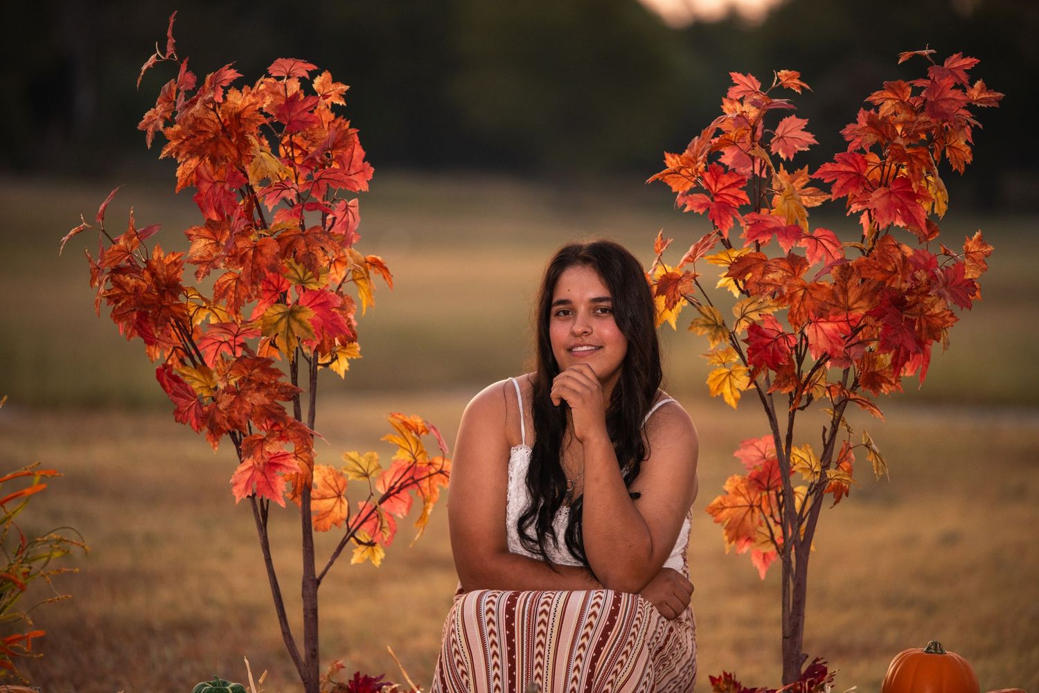 A series of autumn-themed portraits featuring vibrant red maple branches against a warm golden sunset background.