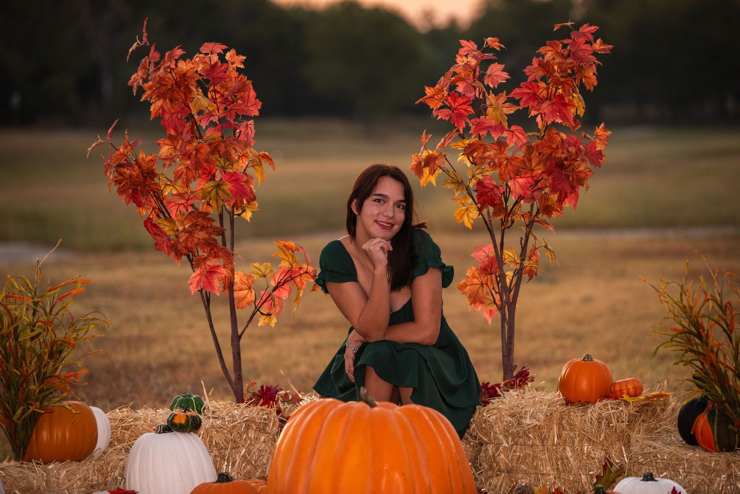 Autumn outdoor photoshoot with bright orange pumpkins and vibrant red maple leaves against a warm sunset background.