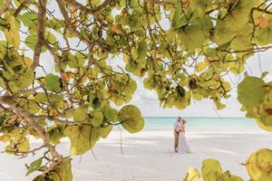 Sea grape leaves create a natural green canopy overhead against a bright sky background. Punta Cana Resort
