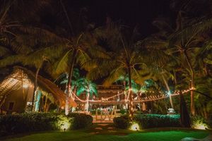 Tropical garden pathway illuminated at night with colorful lights and palm trees creating a magical ambiance. Tortuga Bay