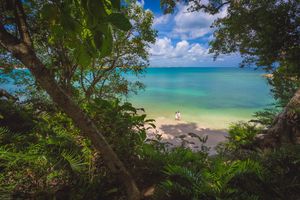 Panoramic sequence of a tropical beach with crystal clear turquoise waters and lush green trees framing the coastline. Macao Beach