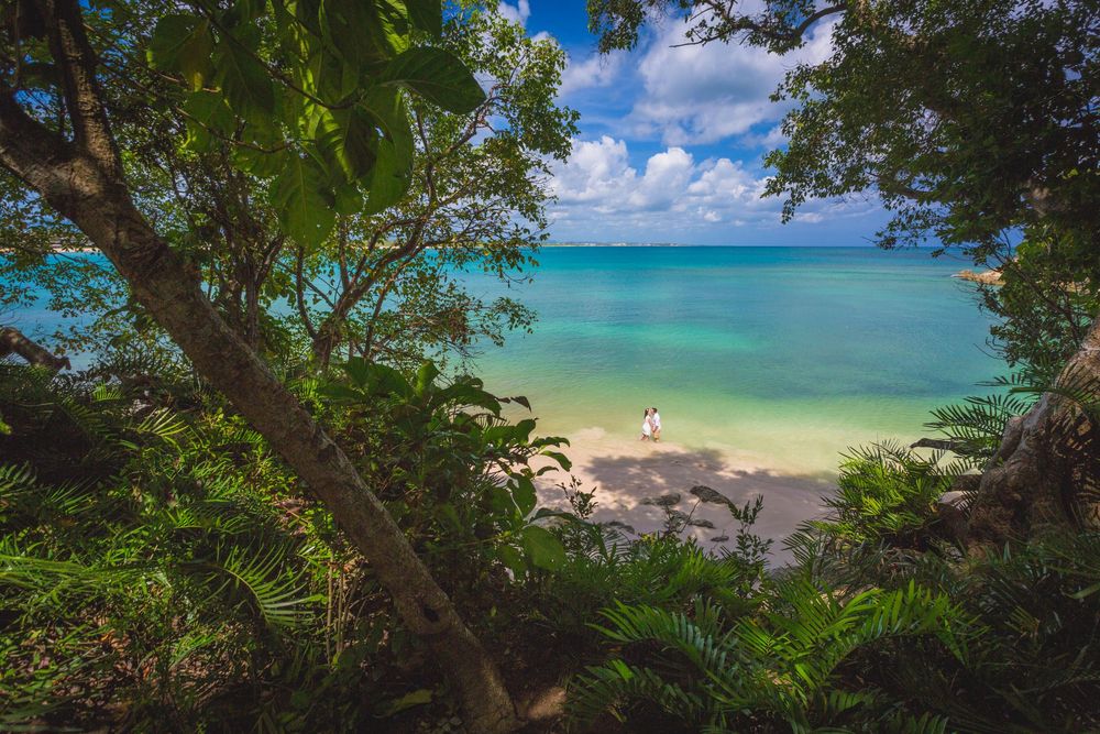 Panoramic sequence of a tropical beach with crystal clear turquoise waters and lush green trees framing the coastline. Macao Beach