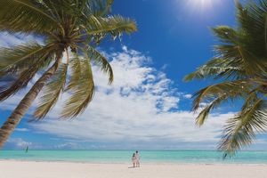 Palm trees sway over crystal clear turquoise waters and white sandy beaches on a sunny tropical paradise island.