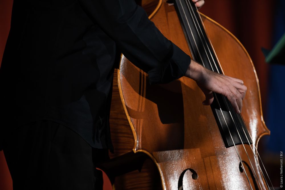 Close-up view of a wooden double bass neck and strings being played against a dark background.
