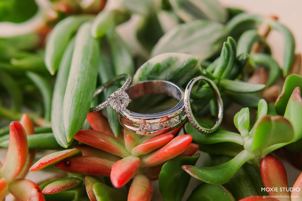 Fresh red chili peppers and green succulent leaves arranged in a vibrant culinary composition.