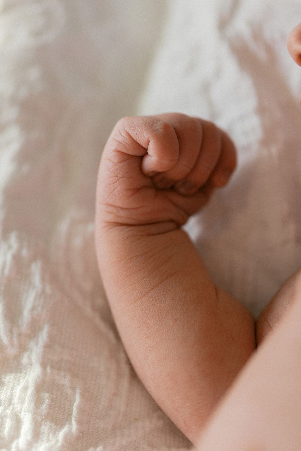 Close-up series of a tiny newborn baby's hand against a white textured background.