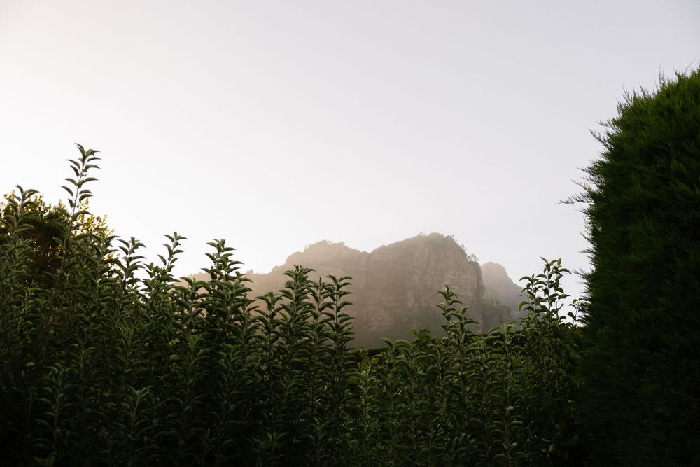 A scenic mountain landscape at dusk with silhouetted trees and a misty atmosphere.