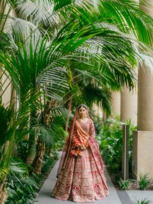 Traditional Indian bridal lehenga photographed in sequence against a tropical palm garden backdrop with stone columns.