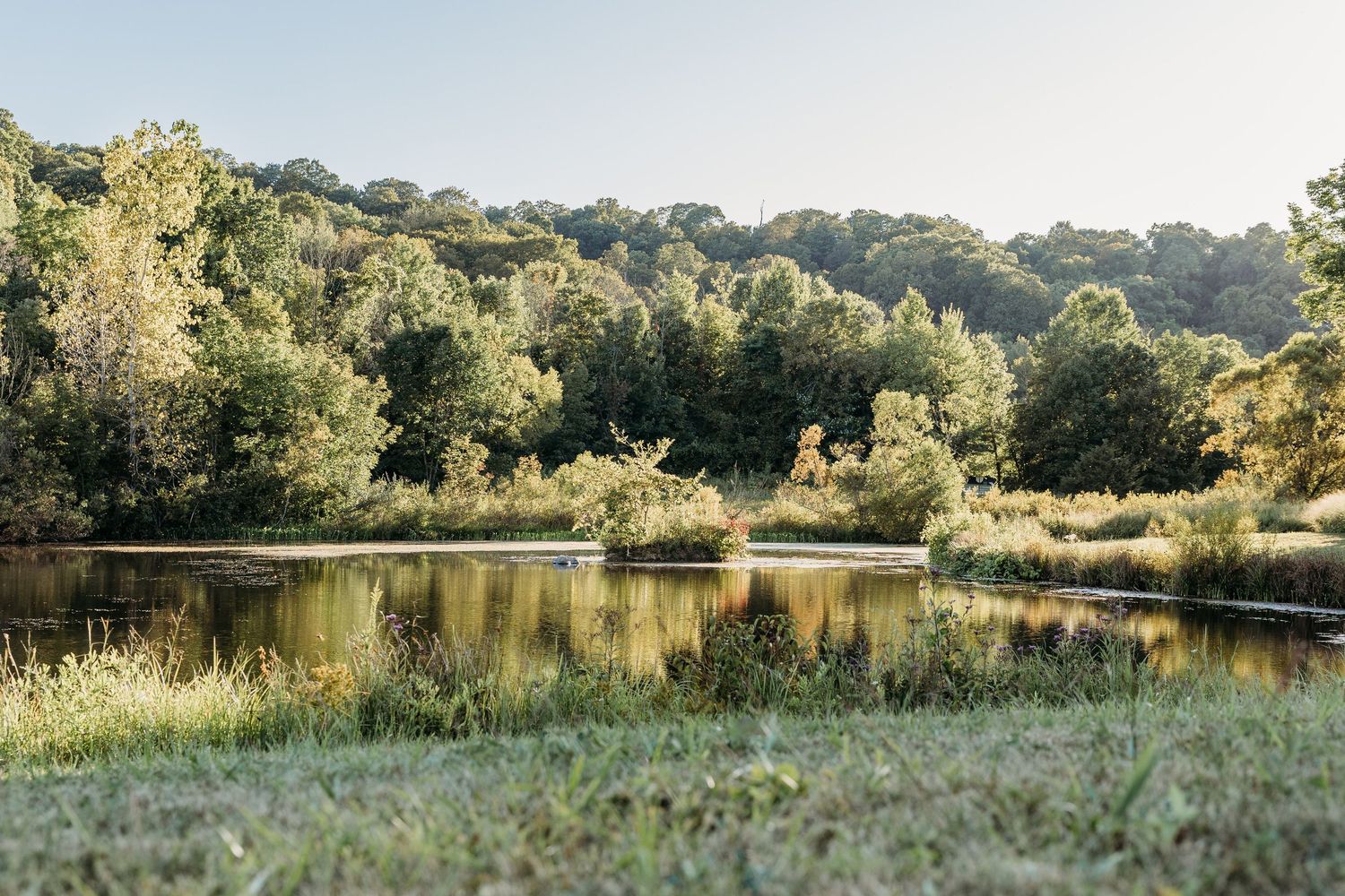 A peaceful pond with a fountain surrounded by lush green trees reflecting on the calm water surface.