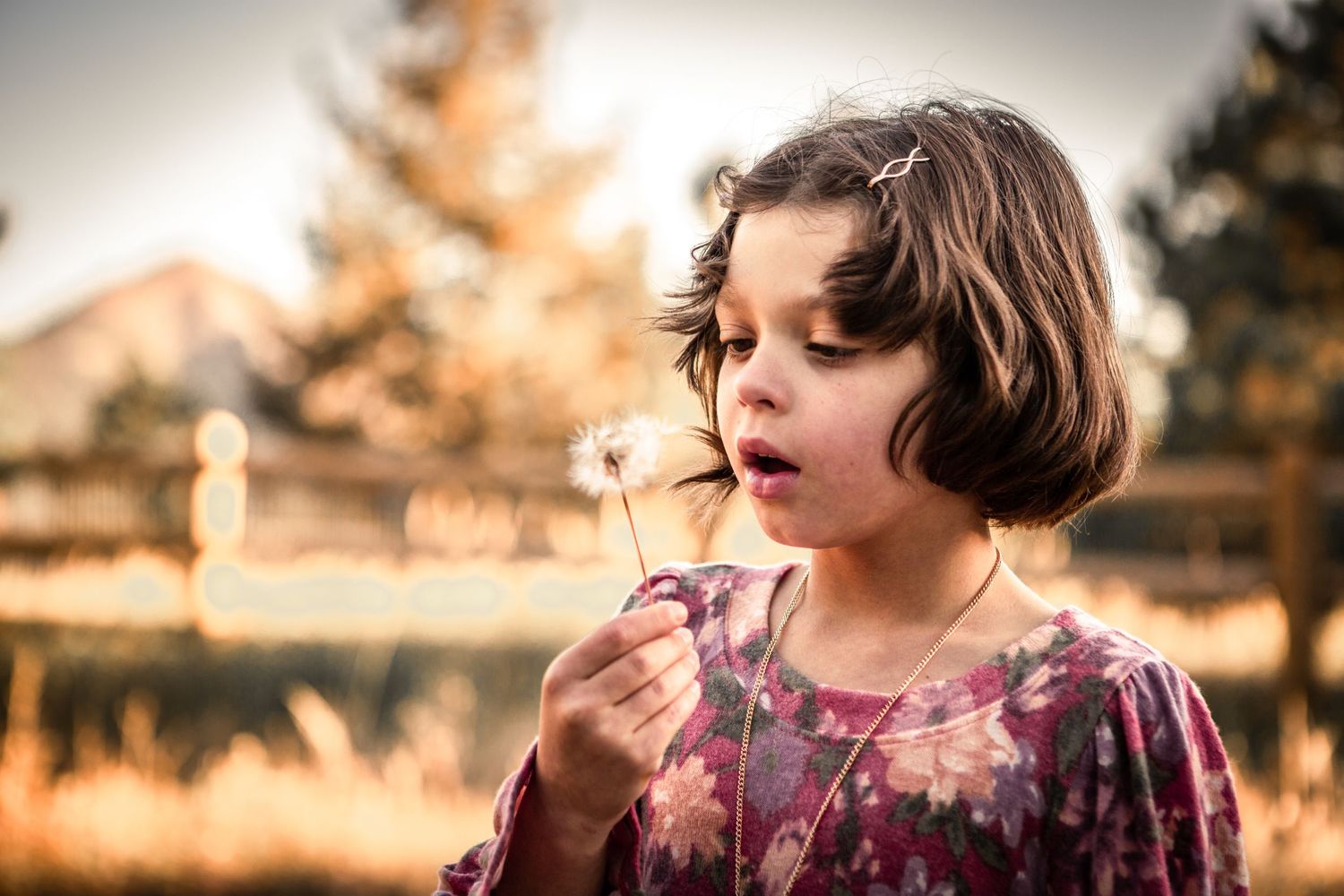 Denver Family Photos by Ash Moon