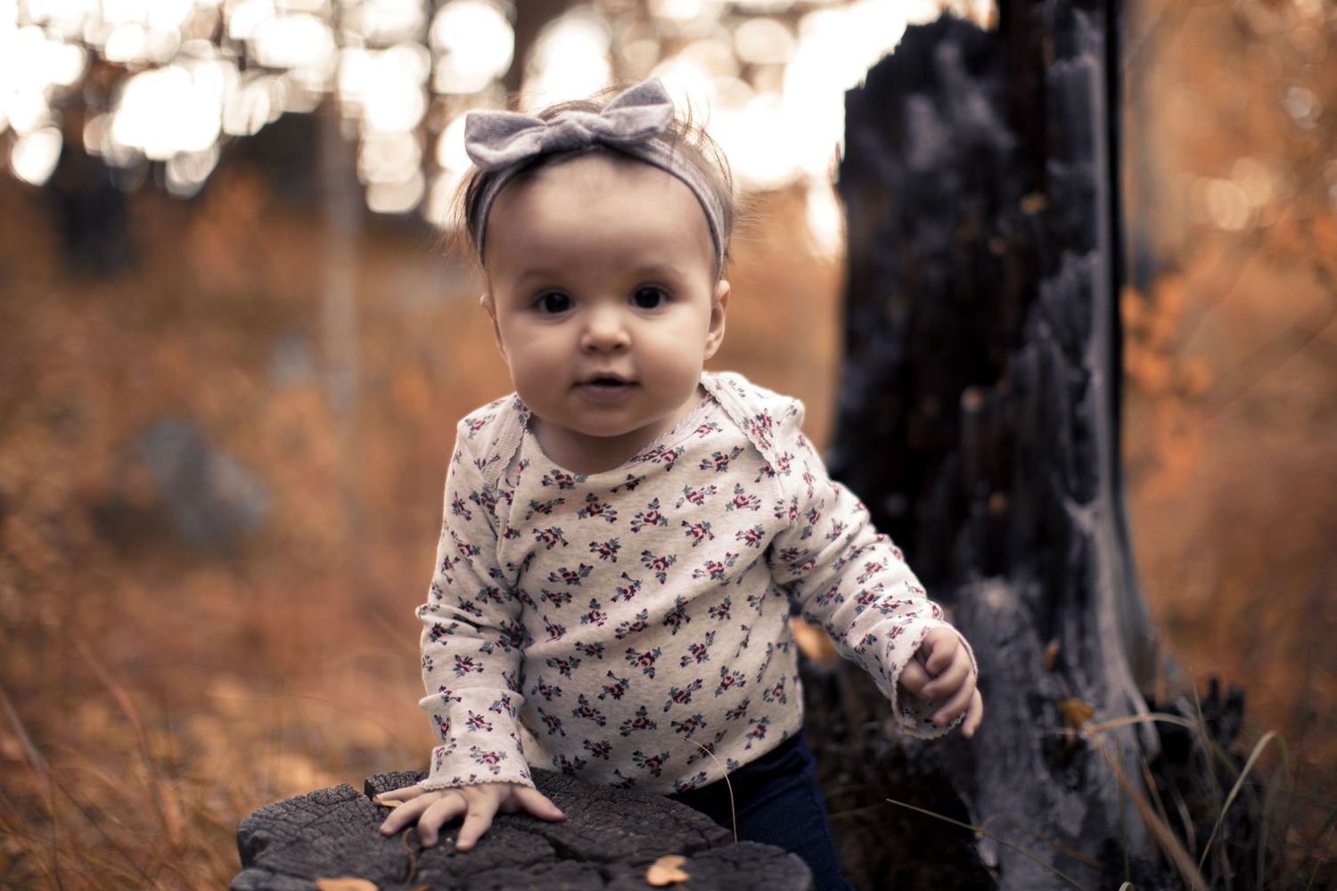 Denver Family Photos by Ash Moon