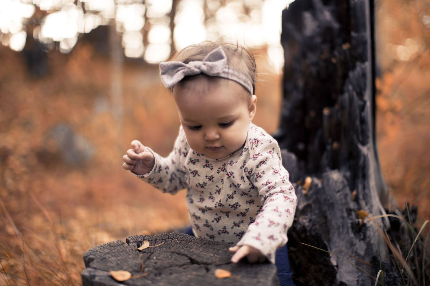 Denver Family Photos by Ash Moon