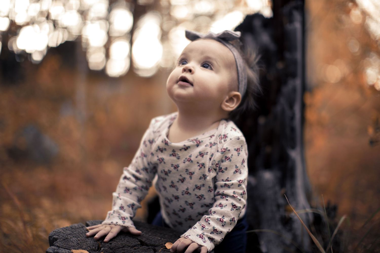 Denver Family Photos by Ash Moon