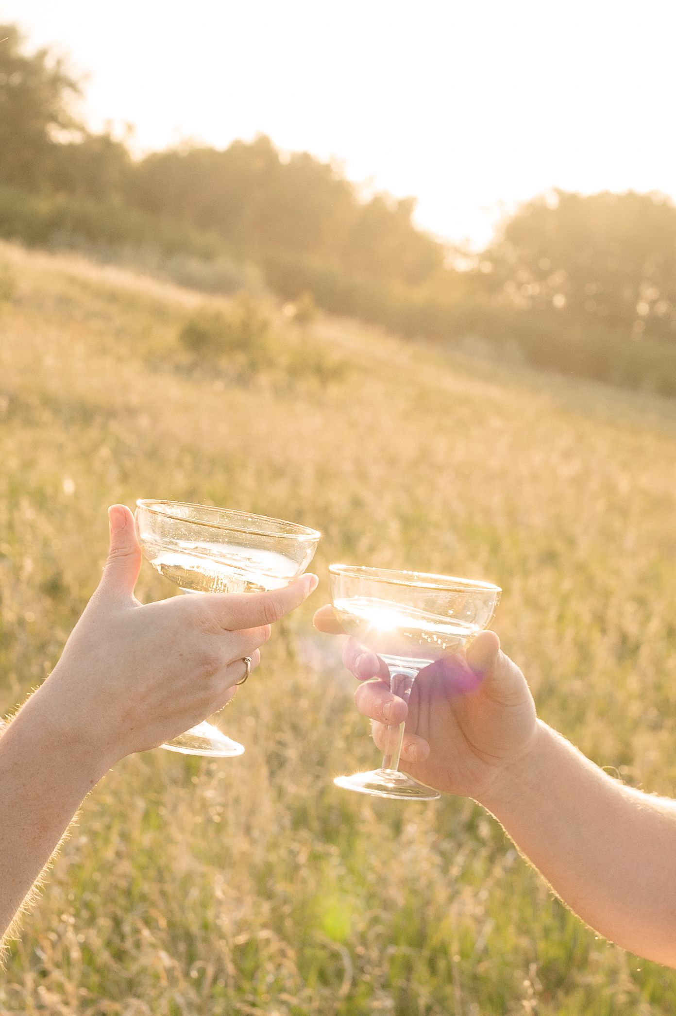 Two hands toasting with wine glasses in a sunlit meadow at golden hour, creating a romantic summer atmosphere.