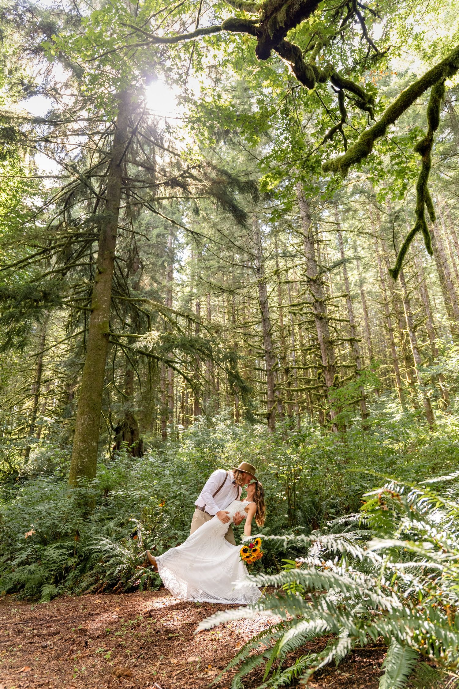 Sunlight streams through tall evergreen trees in a lush forest setting with a figure in white seated on a woodland path.