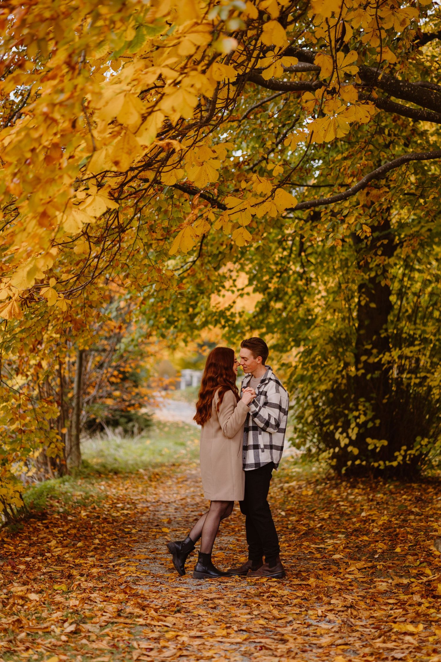 A couple sharing an intimate moment during their maternity photoshoot in nature.