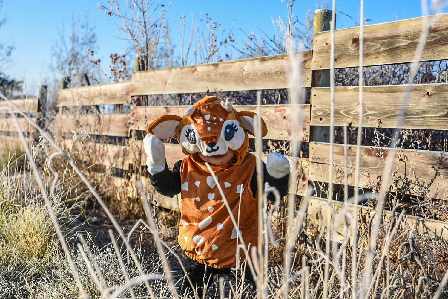 little toddler in costume