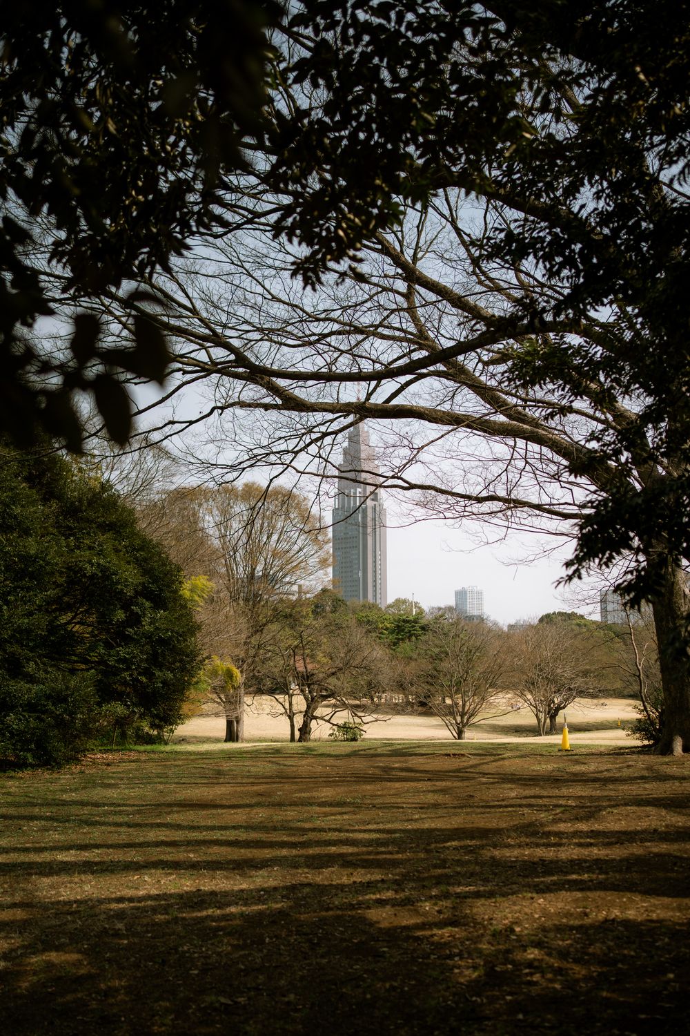 Expansive park landscape with trees and city skyline visible in the distance.