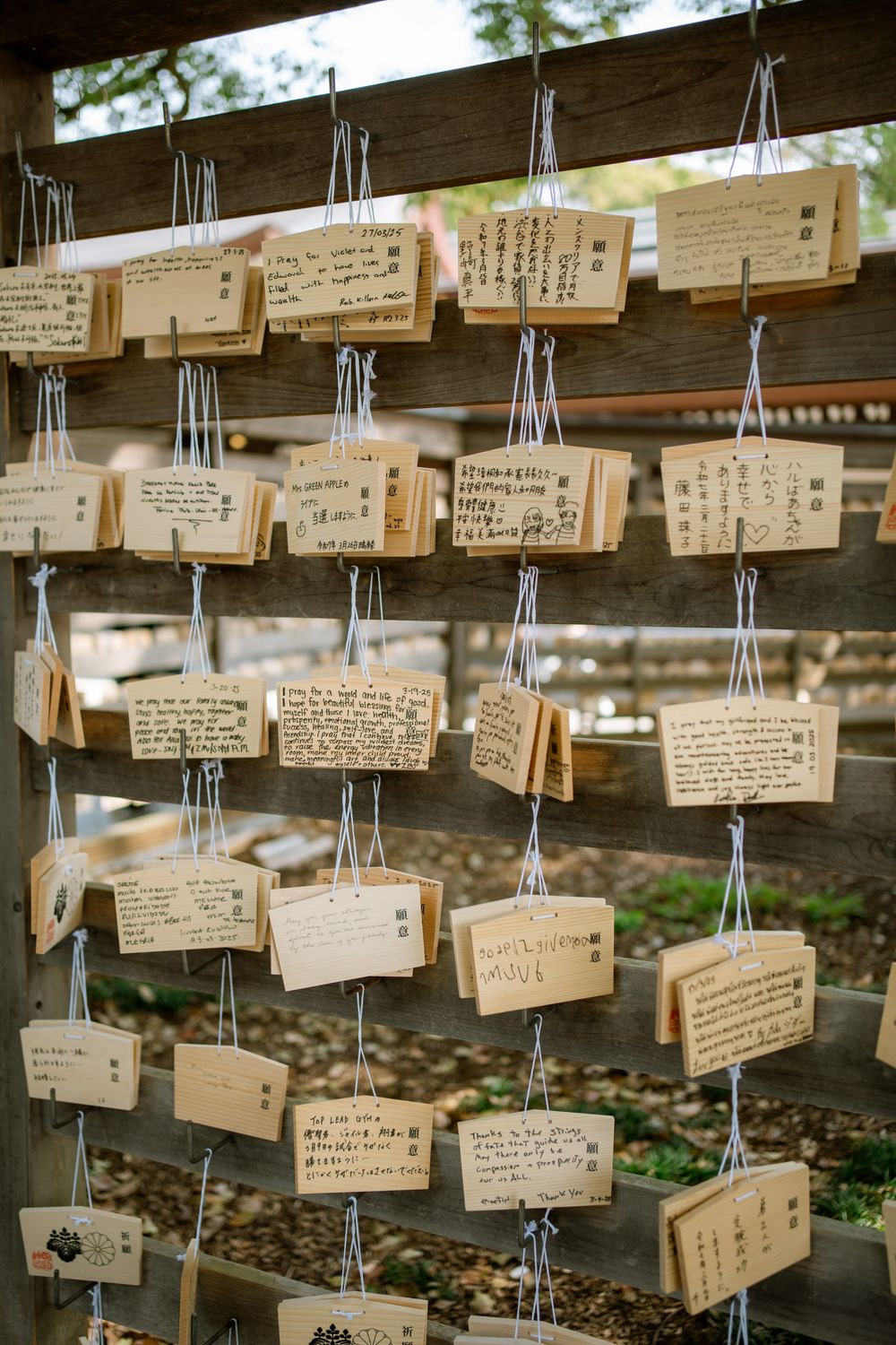 Wooden prayer plaques called ema hanging at a Japanese shrine with handwritten wishes and messages.