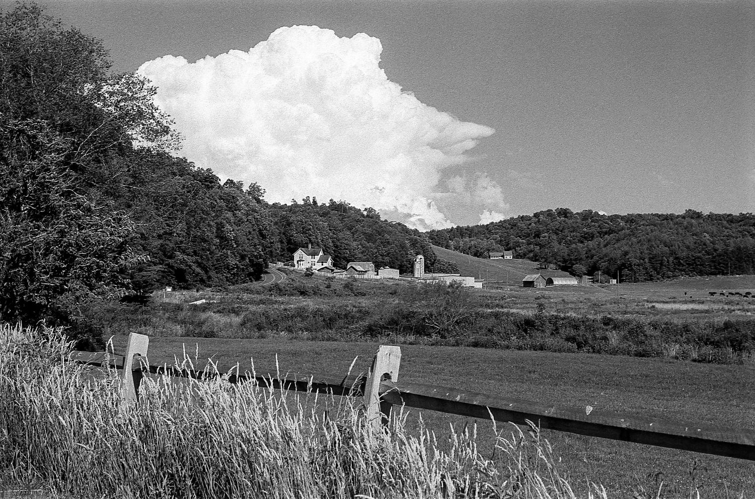 Farm