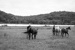 EQUINE PROMOS BY JADE MADE