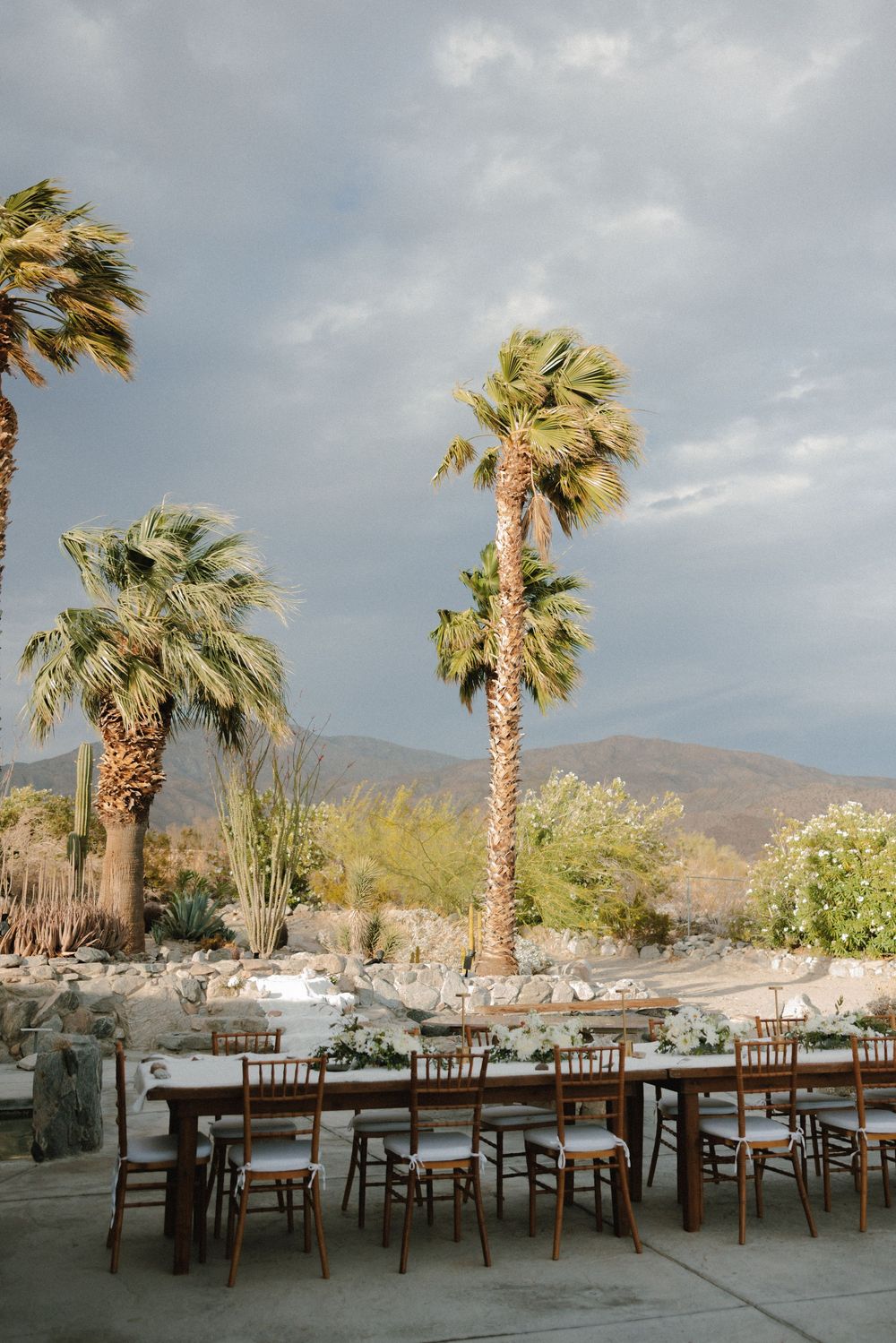 Outdoor wedding reception tables set against dramatic desert landscape with towering palm trees swaying in the wind.