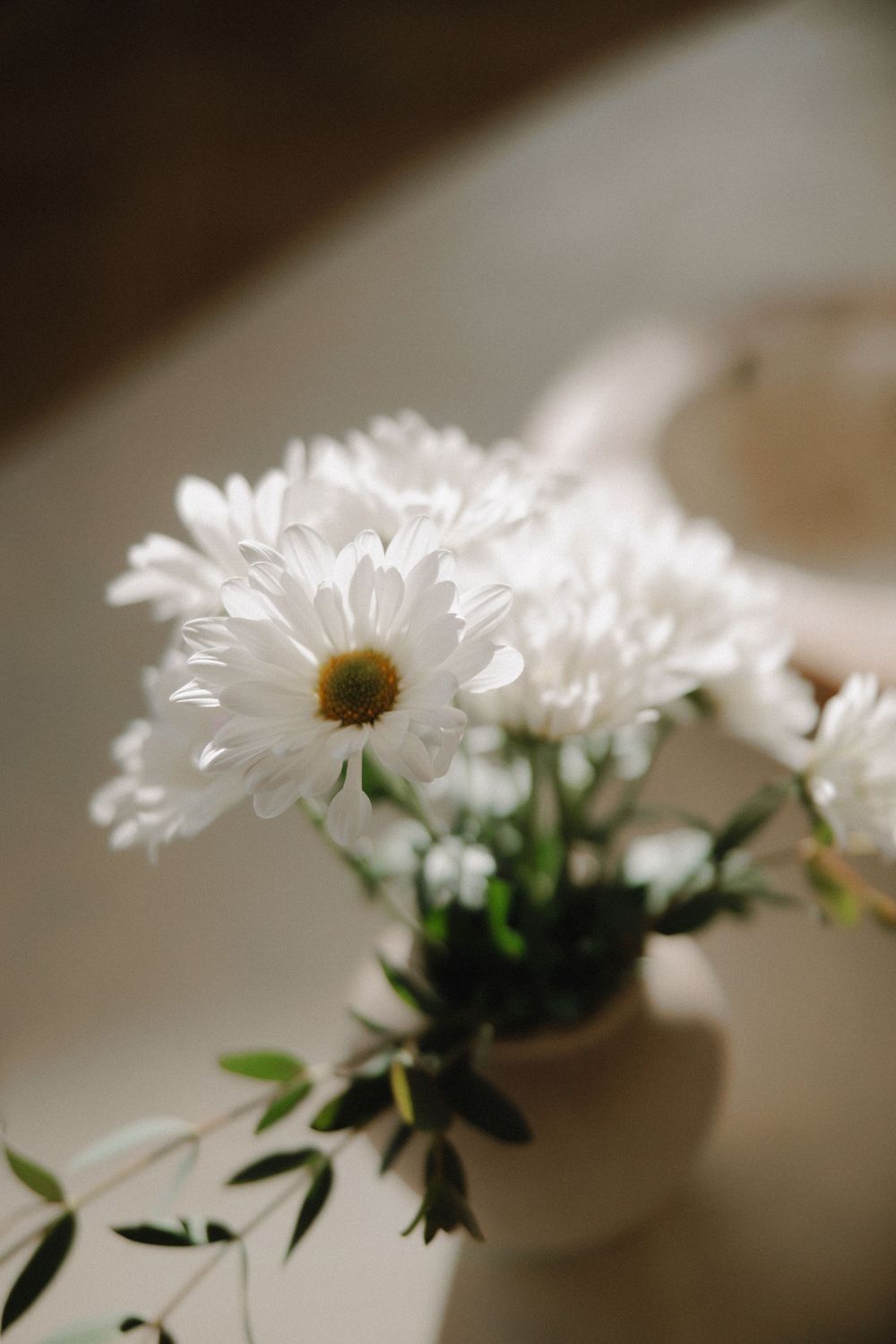 Close-up view of delicate white daisy flowers in a row against a soft blurred neutral background.