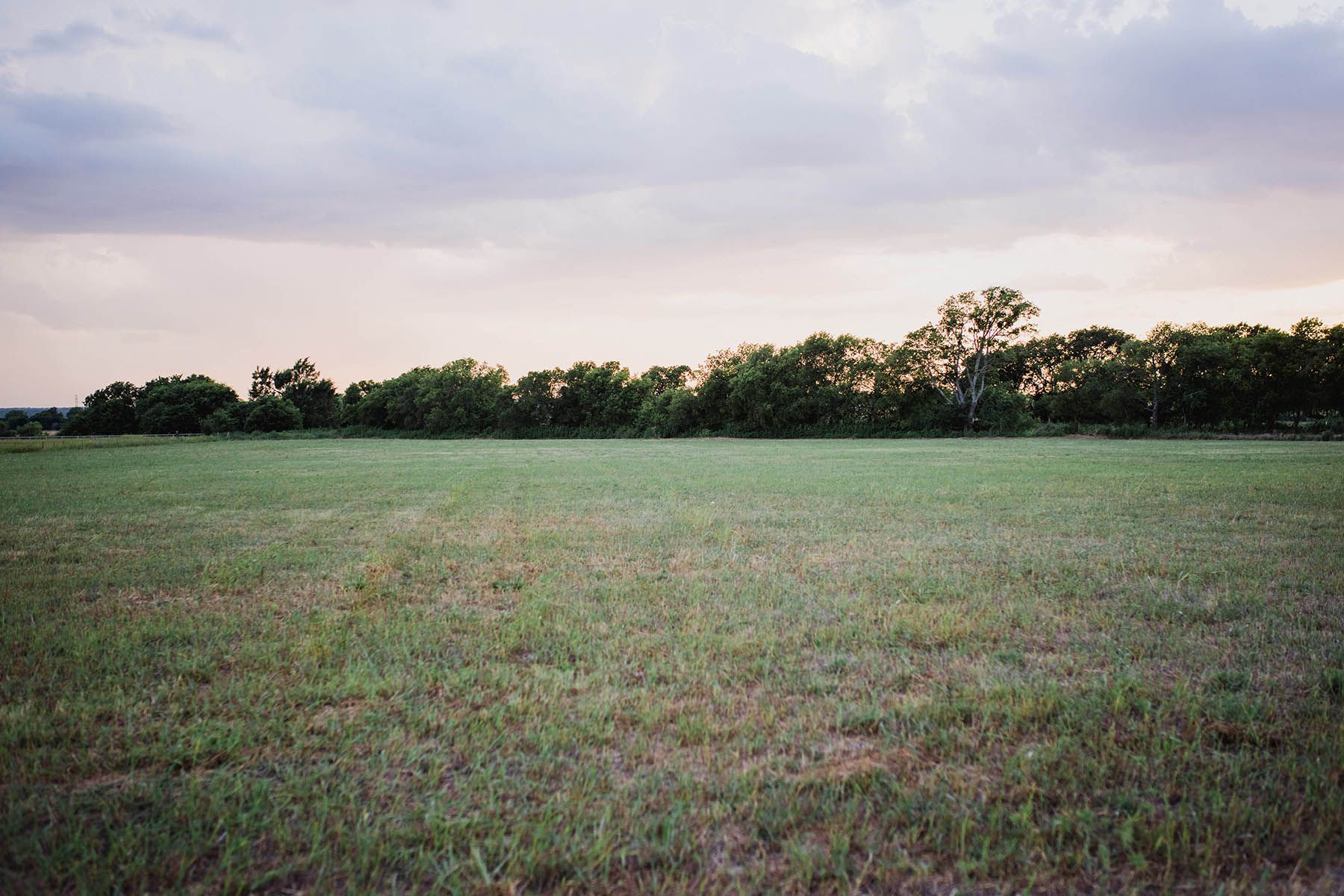 family photographer in waxahachie texas