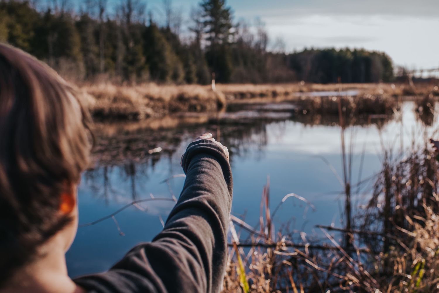 A hand points toward a beaver lodge in a river.