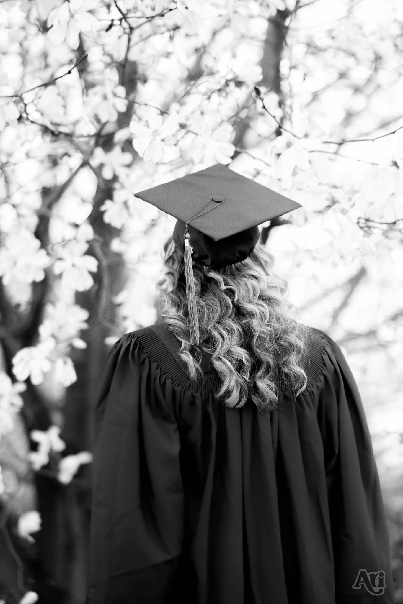 Graduation cap and gown silhouette against blooming cherry blossoms in black and white.
