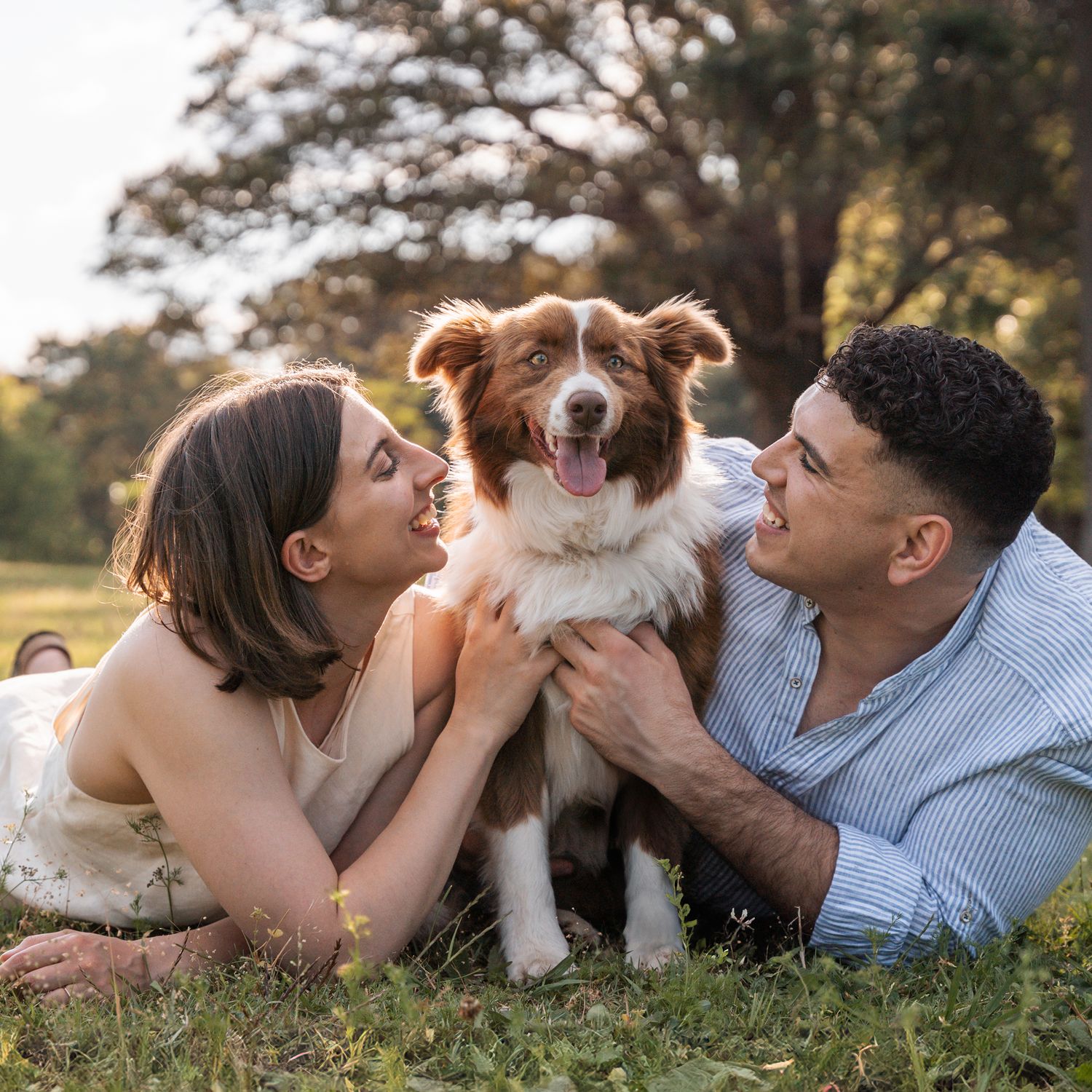 couple-looking-at-their-border-collie-while-laying-on-the-grass-during-an-engagement-photoshoot-in-sydney