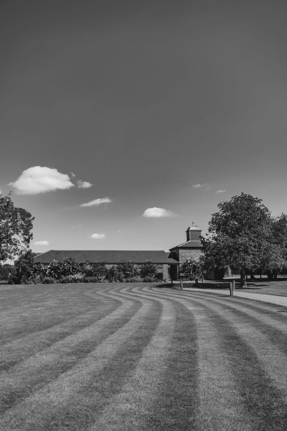 Black and white landscape photo of a manicured lawn with buildings in the distance.