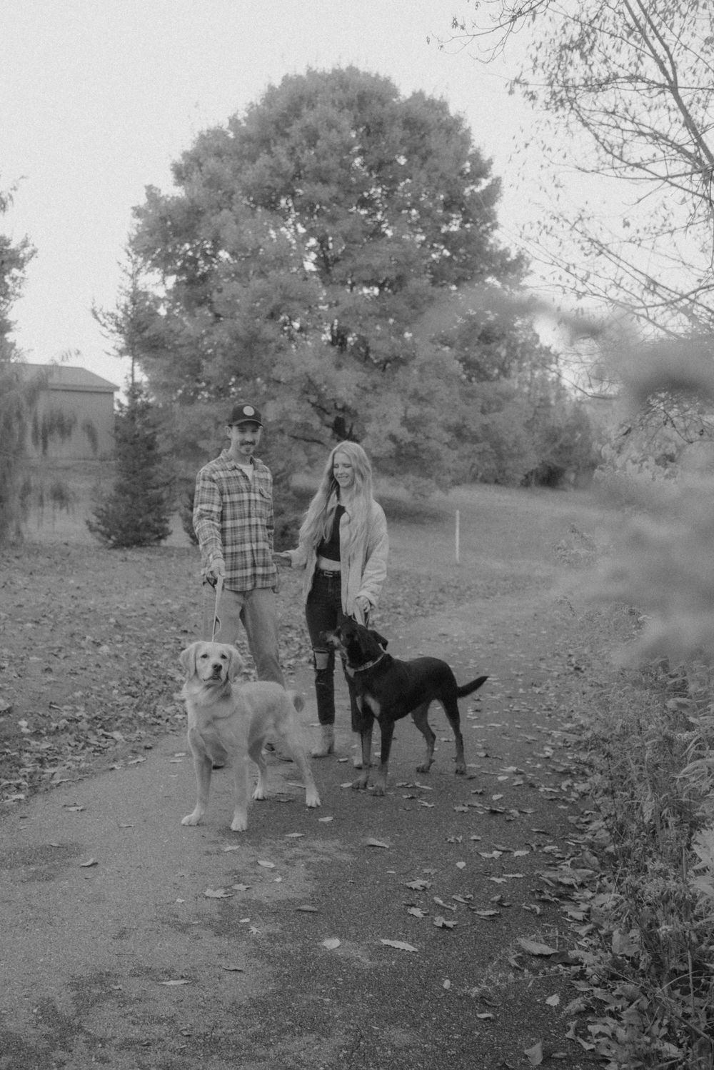 A black and white portrait of a couple with their dogs on an autumn path.