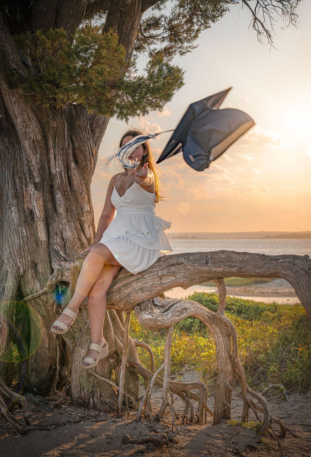 A series of artistic photos showing a person climbing and posing on a gnarled tree branch at sunset by the ocean.