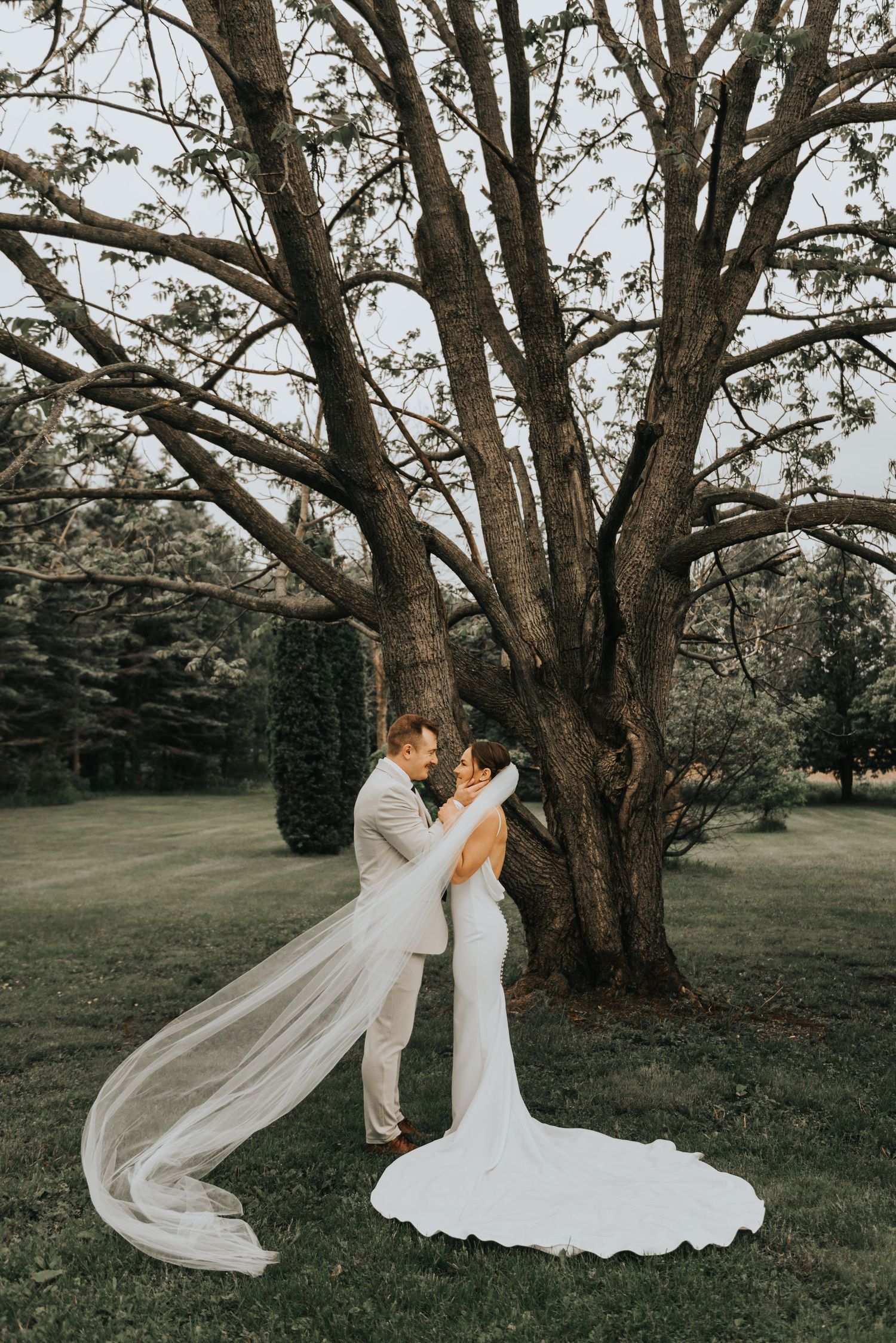 A romantic wedding couple embraces under a large branching tree, with the bride's long veil flowing in the breeze.