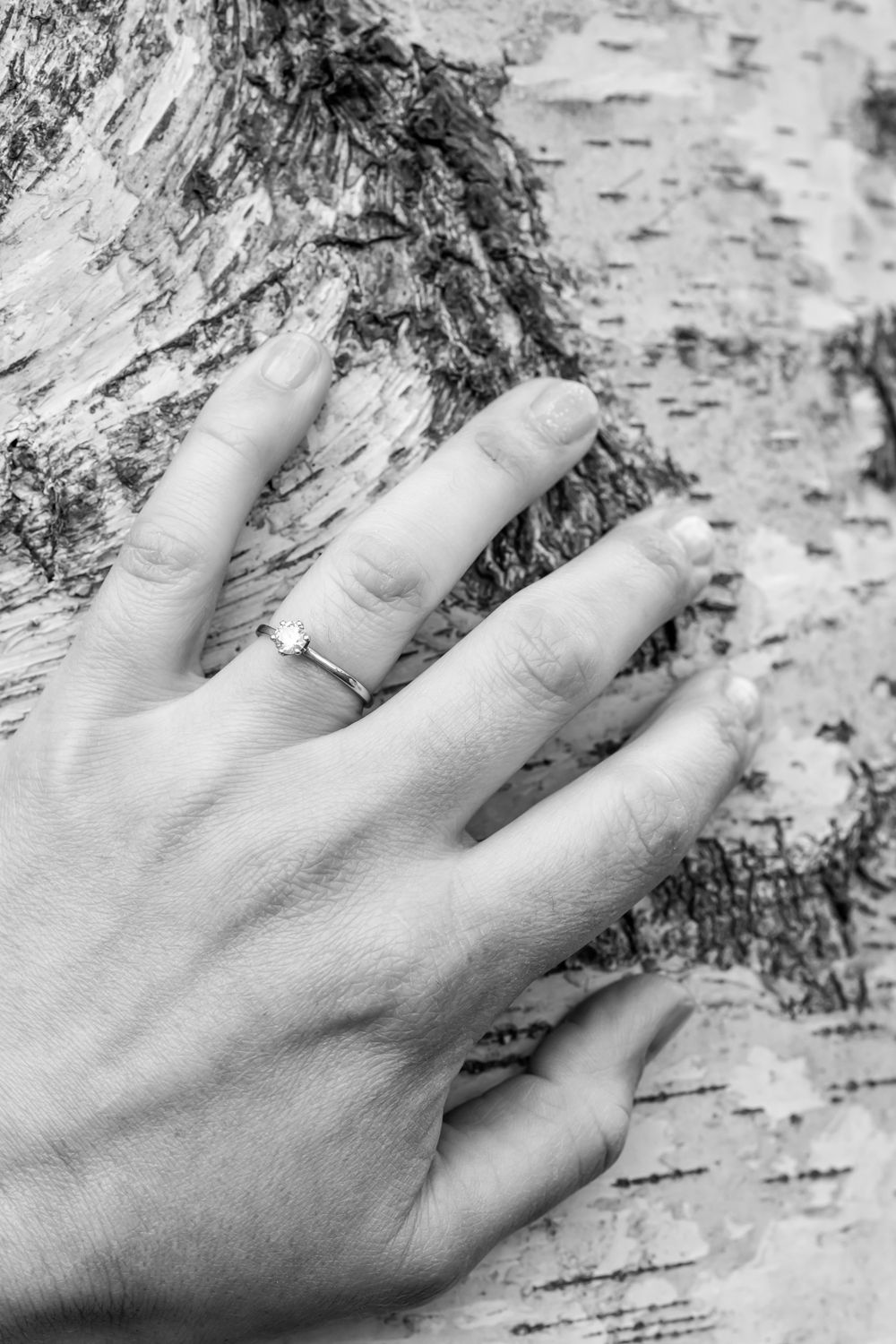 Cannon Hall wedding photographer