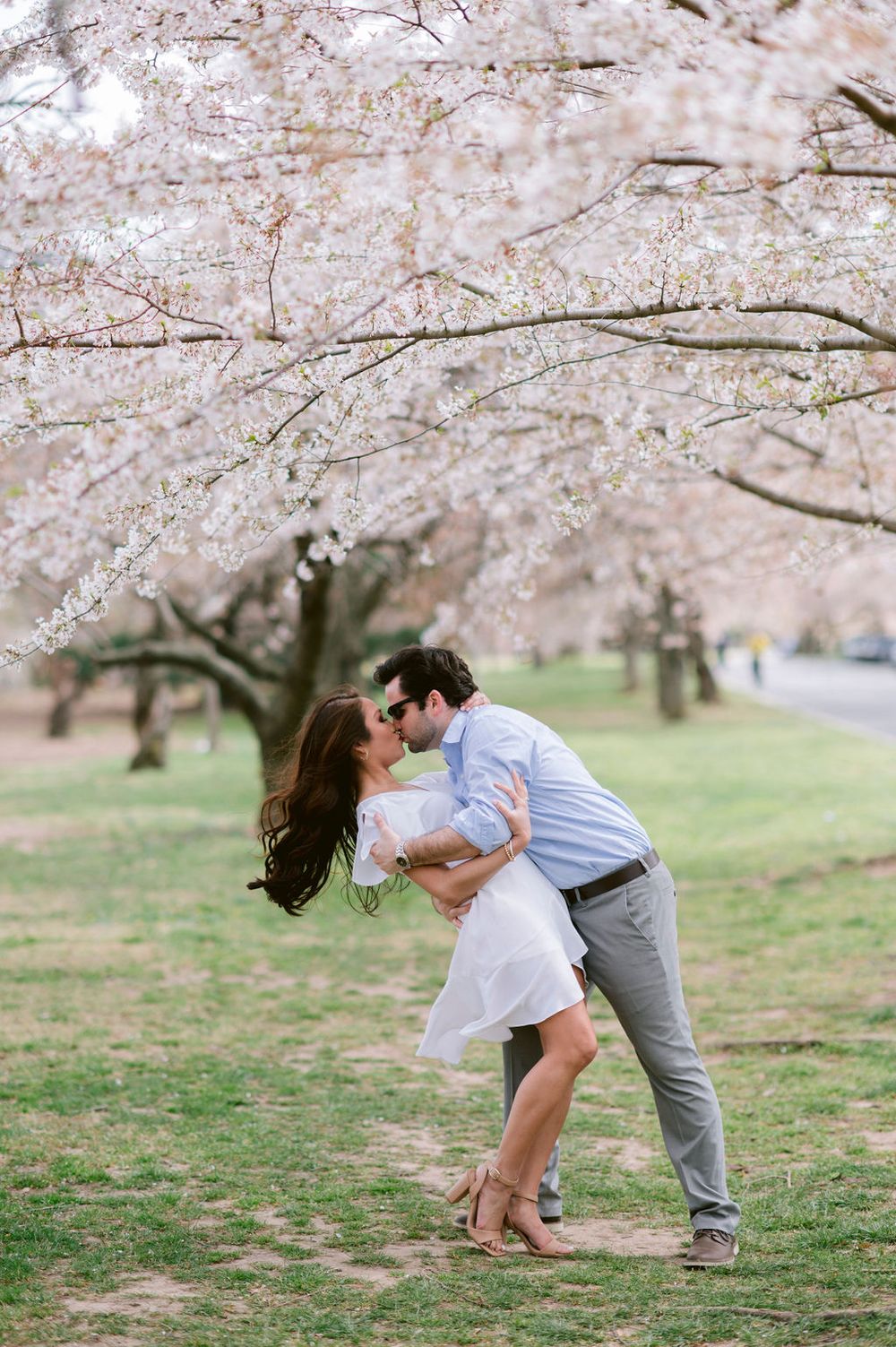 A romantic moment under blooming cherry blossom trees in spring with soft pink petals overhead.