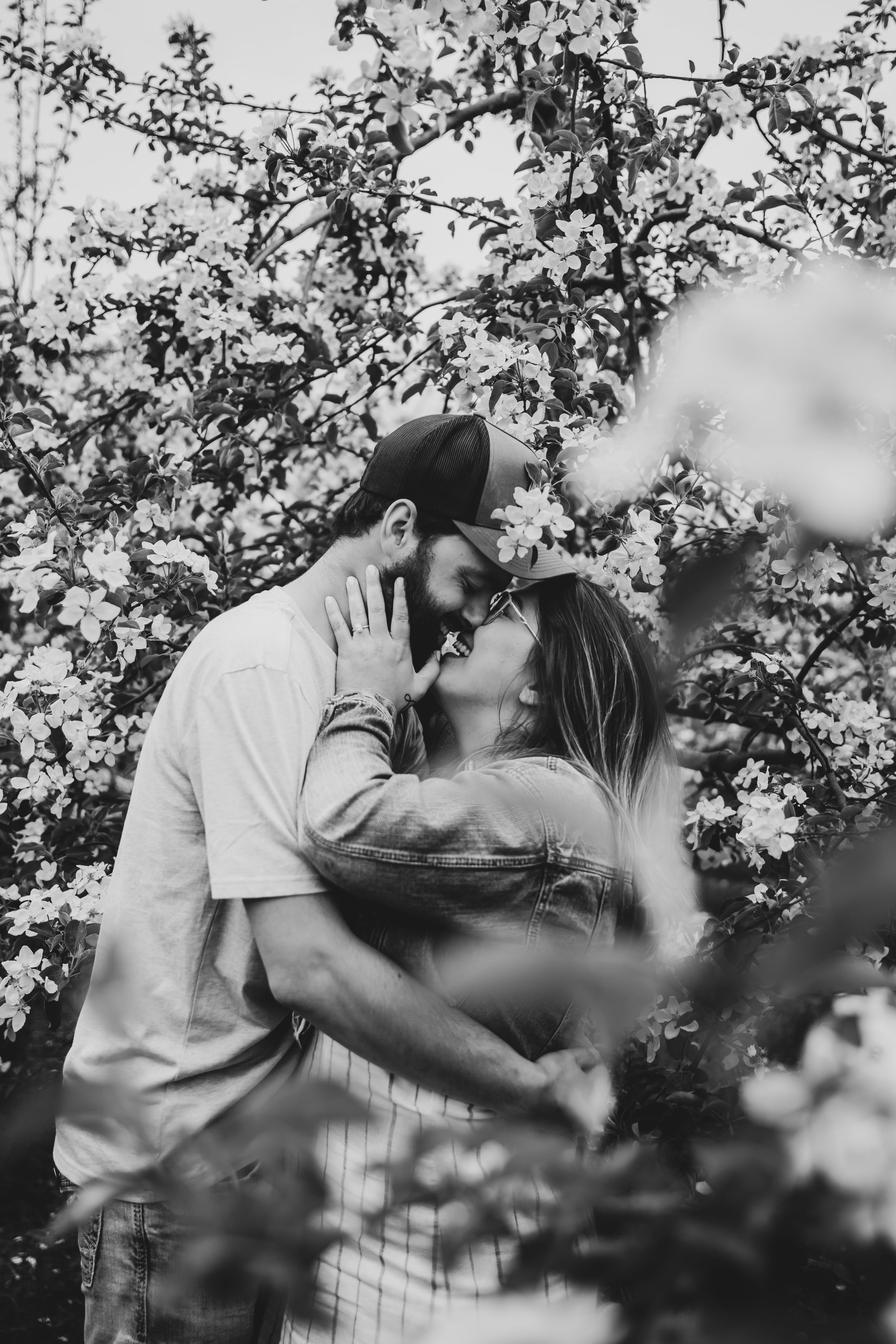 Black and white romantic photo of couple kissing among blooming apple trees in orchard.