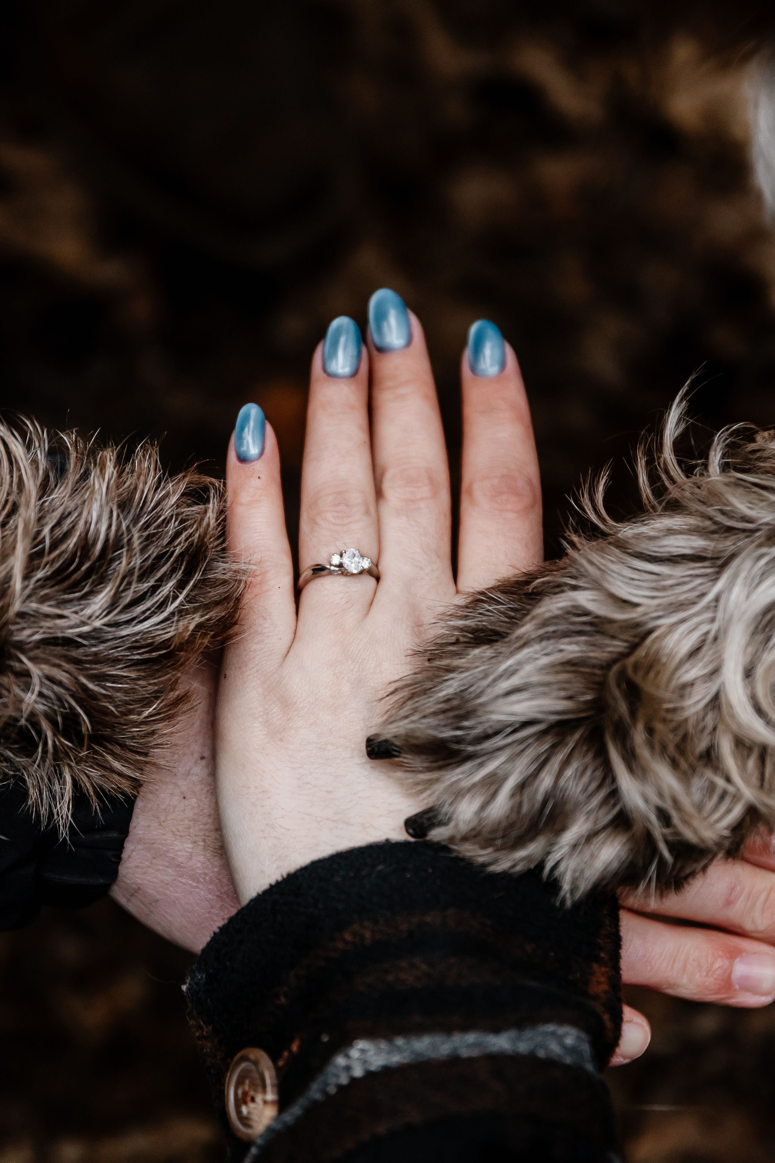 Close-up of woman's hand with blue nails and diamond engagement ring resting on fur coat.