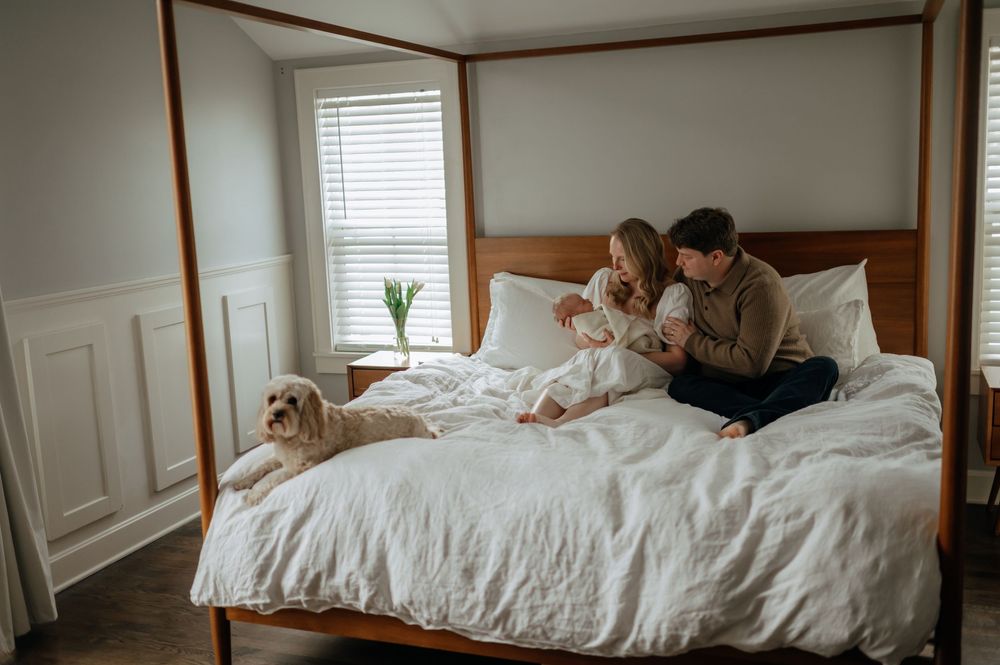New parents on white four-poster bed with newborn baby and golden dog in serene bedroom setting.