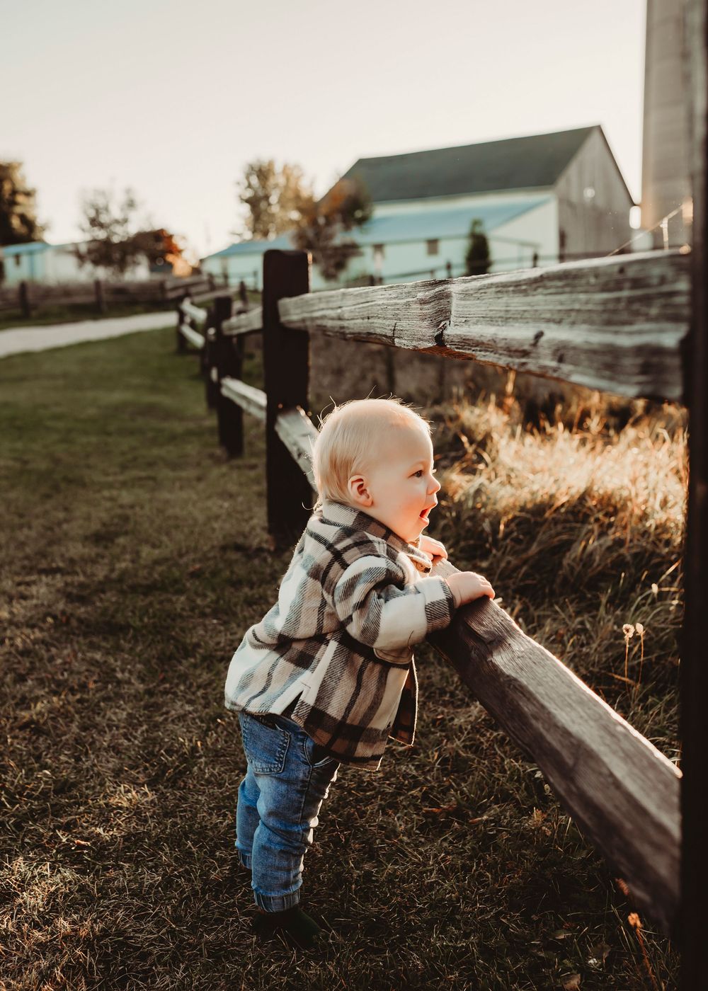 Small child in plaid shirt stands at wooden fence with farm buildings in background.