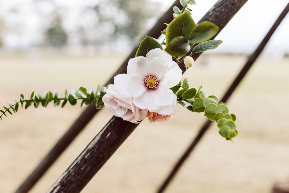 A delicate pink and white orchid bloom emerges from a dark branch against a soft blurred background.