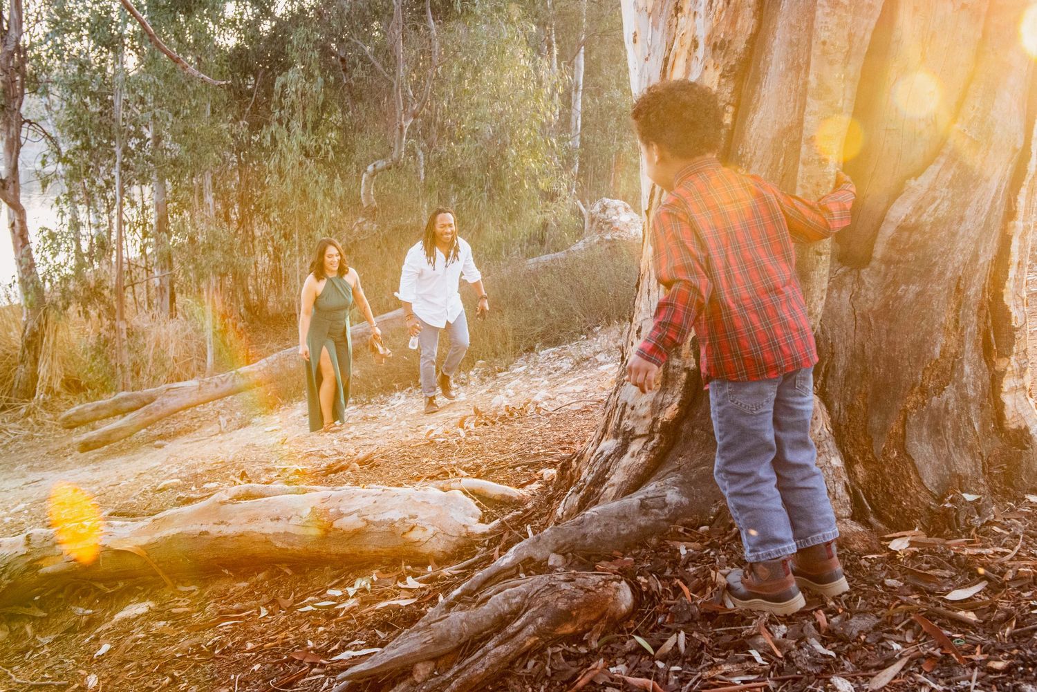 A golden sunset illuminates a forest engagement photoshoot with a couple among tall trees.