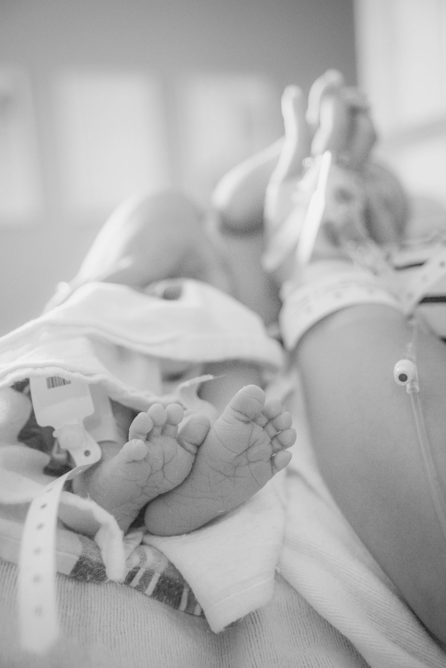Close-up black and white image of a newborn baby's tiny feet wrapped in hospital blankets.