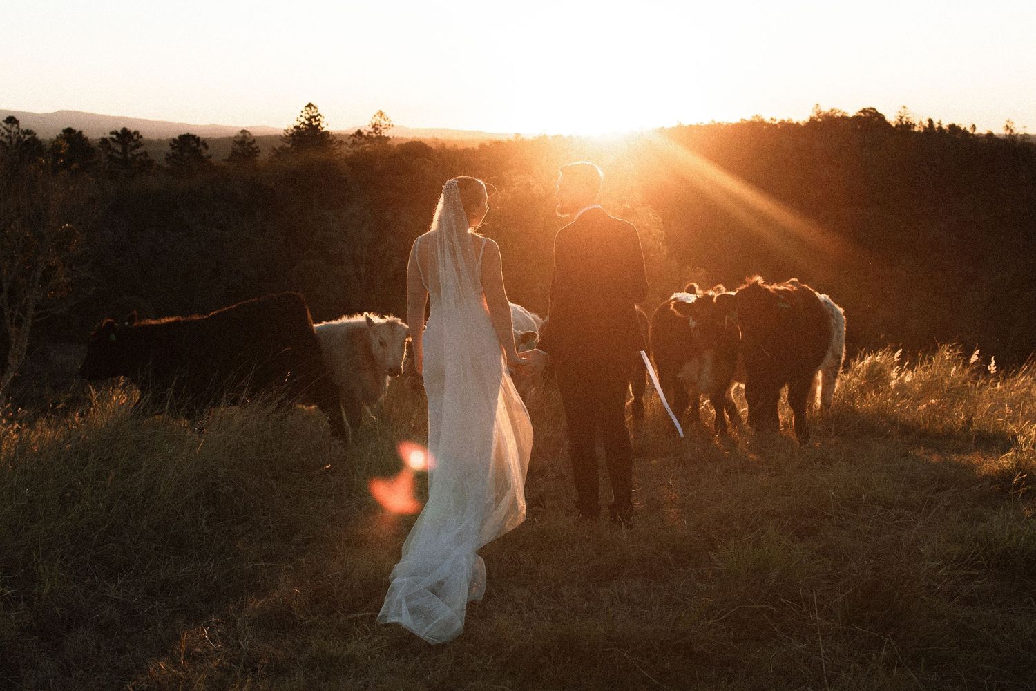 Silhouetted figures and horses stand in a golden field at sunset creating a dreamy western scene. The Firebreak