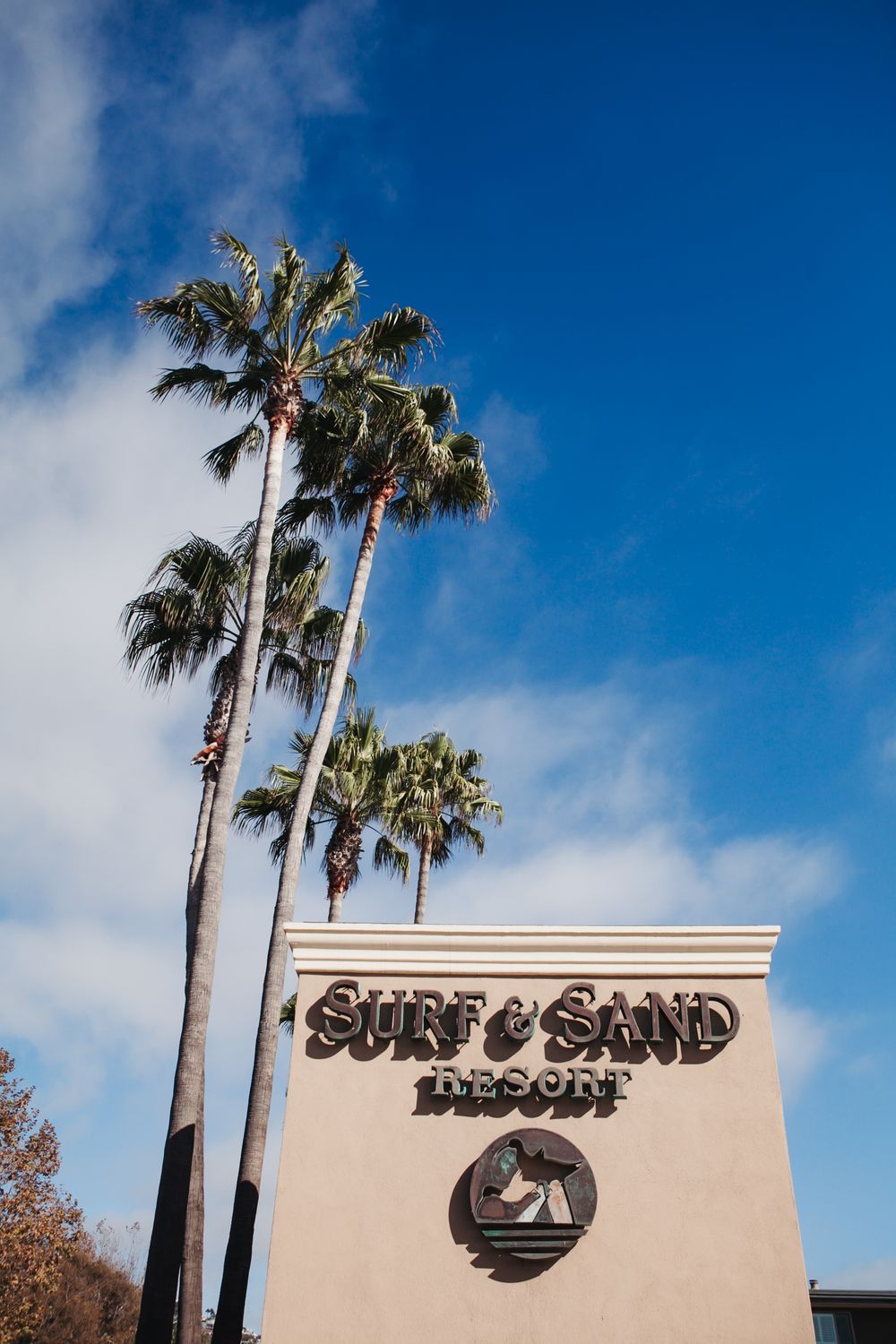 Palm trees tower against a bright blue sky with a beige stucco building sign reading 'Surf & Sand' below.