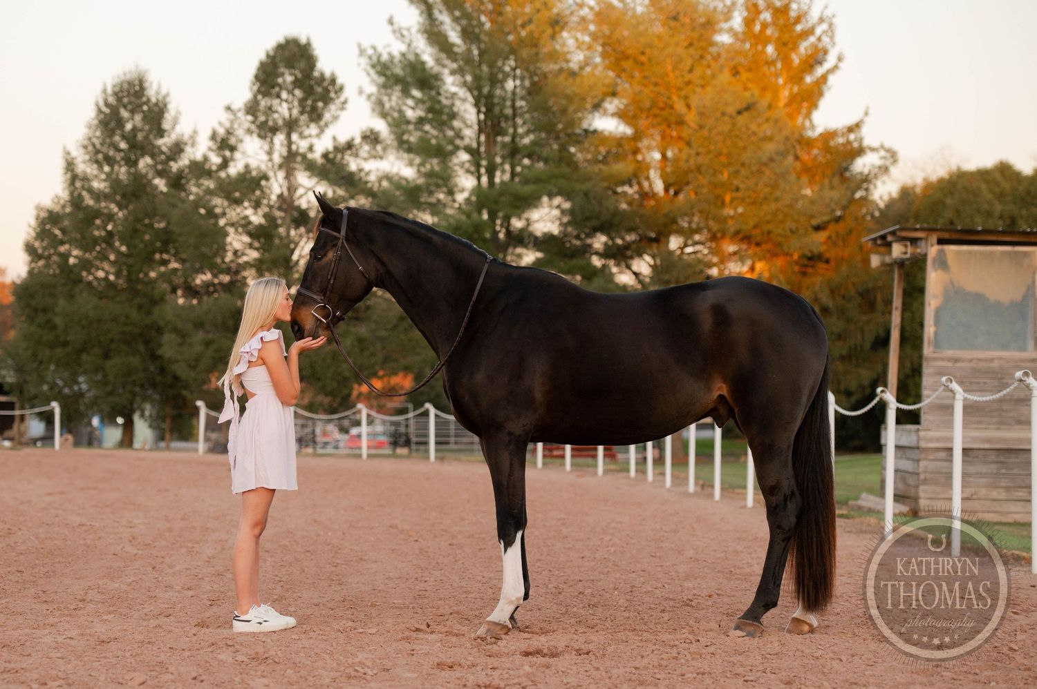 Someone in a white dress stands beside a dark horse in an equestrian arena at dusk.
